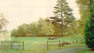 Suckley Station as it is now
